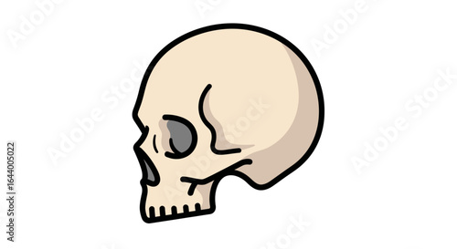A cartoon-style illustration of a human skull in profile, facing left, with a black outline.