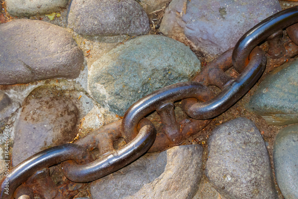 Obraz premium Close-up of heavy rusty chain lying across rounded cobblestone pavement in daylight