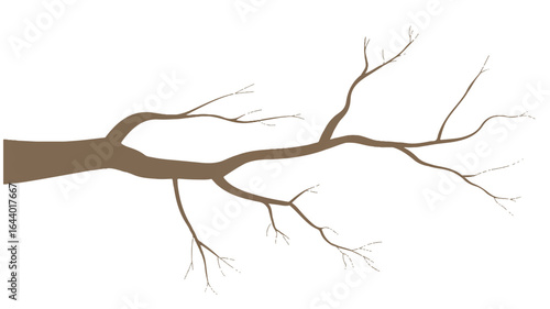Abstract Tree Branch Silhouette on White Background with Spreading Limbs and Twigs for Decoration and Design Concepts
