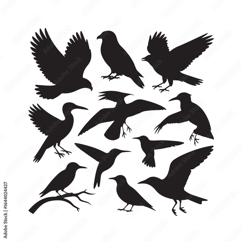 Obraz premium Collection of diverse bird silhouettes in various poses and flight