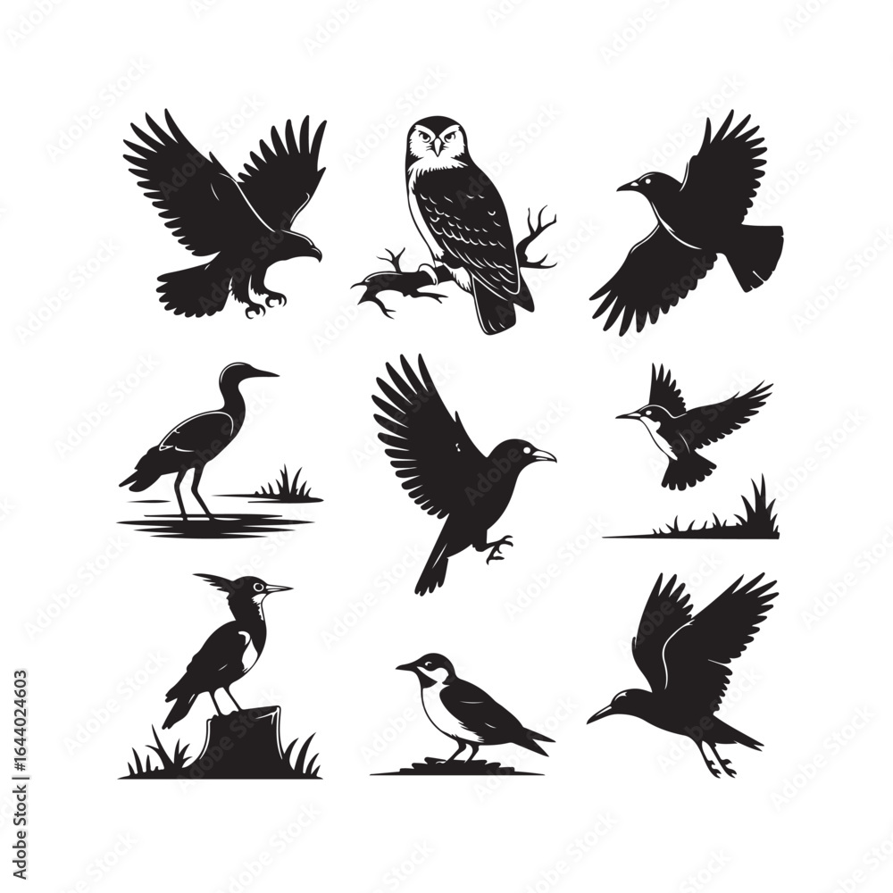 Fototapeta premium Collection of diverse bird silhouettes in various poses and environments