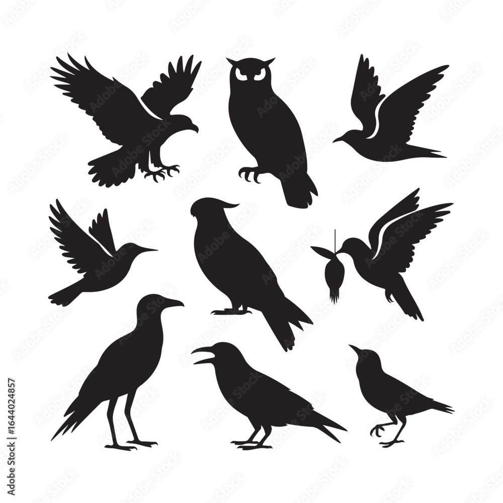 Fototapeta premium Collection of silhouetted birds of prey and crows in various poses