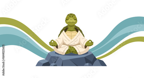 Cartoon illustration of a meditating turtle with kimono on a rock formation with wavy lines