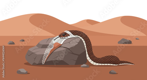 Cartoon snake shedding skin on a rock in the desert landscape illustration