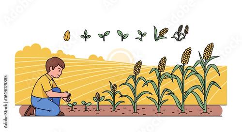 Conceptual illustration depicting a farmer cultivating corn through its growth stages process