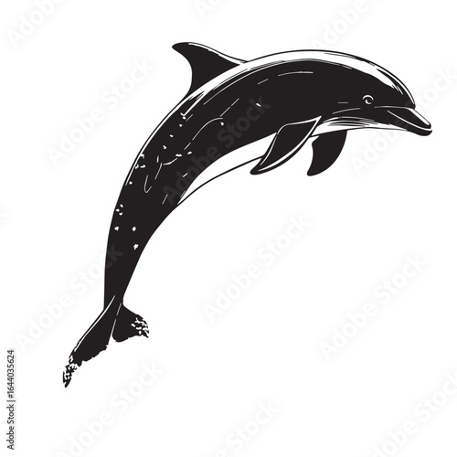 black dolphin Silhouette Vector, High Quality Illustration on White Background