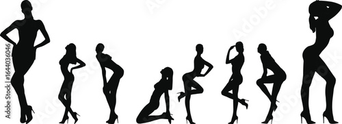 Fashion model silhouette, woman posing in heels, stylish female figure, sexy body outline, glamour art design, black and white illustration vector