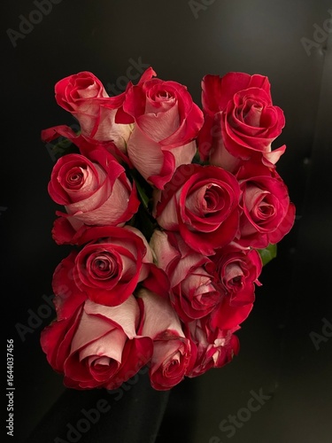 Wallpaper Mural bouquet of red roses on black Torontodigital.ca