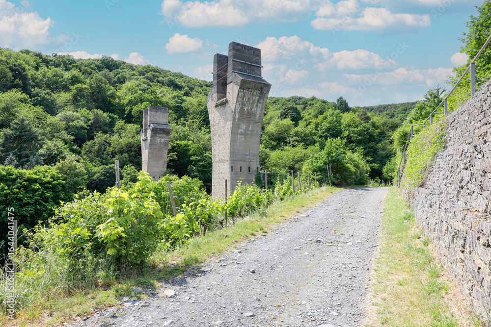 Fototapeta premium Brückenpfeiler des ehemaligen Eisenbahnviadukts über das Adenbachtal bei Ahrweiler
