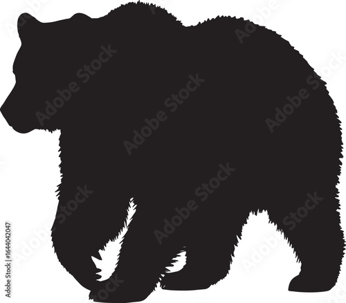 Black silhouette of a walking bear with shaggy fur, captured in side profile on a white background