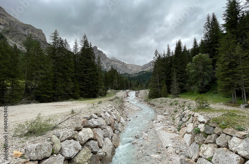 Fotografi Il torrente Ruf de Contrin in Val Contrin, il bosco e il panorama delle Dolomiti