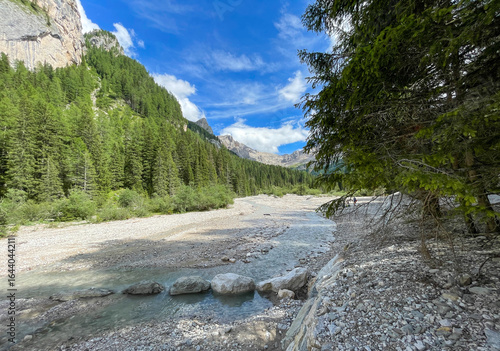 Billede på lærred Il torrente Ruf de Contrin in Val Contrin, il bosco e il panorama delle Dolomiti
