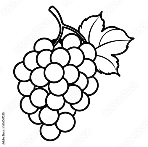 A ripe bunch of purple grapes with a sweet green leaf on a grapevine branch, a vector illustration for food, wine, and nature designs