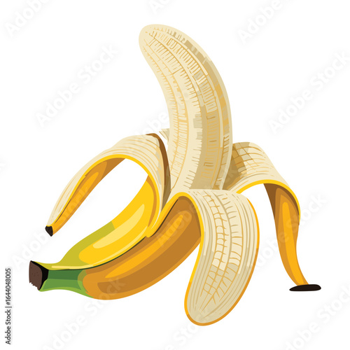 A Freshly Peeled Ripe Yellow Banana with Peel Hanging - Vector Illustration