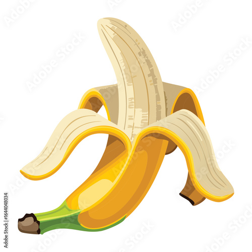 A Peeled Banana with the Peel Hanging Down - Vector Illustration