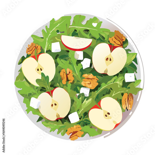 Arugula Salad with Sliced Apples and Walnuts in a Clear Bowl - Vector Illustration