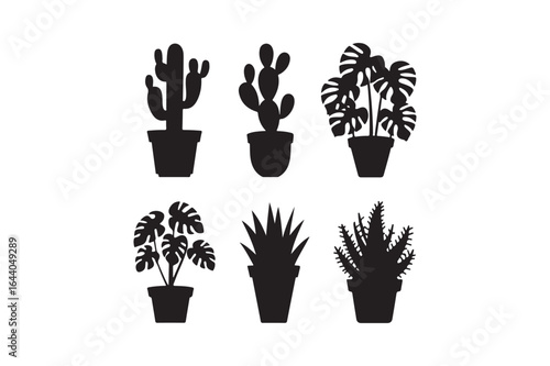 Silhouettes of various potted houseplants including cacti and leafy plants