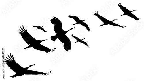 Silhouette depiction of a flock of cranes soaring through the sky on a bright white background view