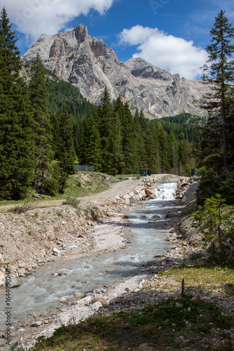 Billede på lærred Il torrente Ruf de Contrin in Val Contrin, il bosco e il panorama delle Dolomiti