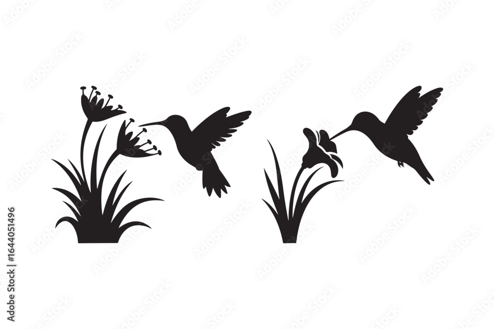 Fototapeta premium Silhouettes of hummingbirds feeding on flowers