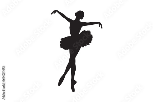 Silhouette of a ballerina in a graceful pose