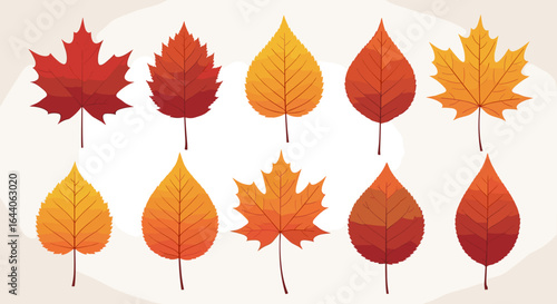 A collection of ten autumn leaves in various shapes and colors arranged on a light beige background