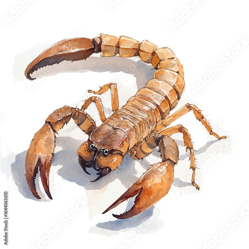 Pet Scorpion, watercolor illustration vector, isolated on a white background.