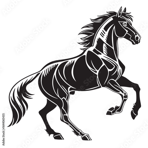 black horse vector illustration