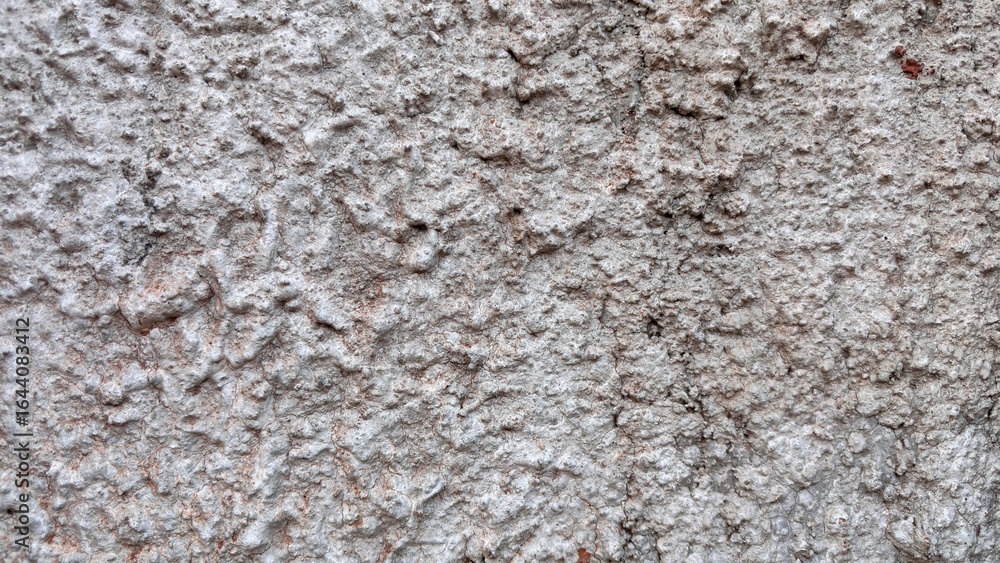 Fototapeta premium Rough Gray Stucco Wall Texture Background with Uneven Surface and Detailed Patterns.