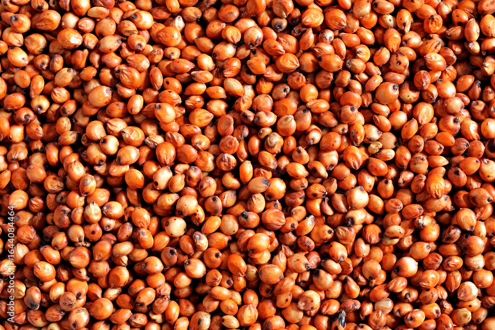 Φωτογραφία Grãos  de sorgo em close-up