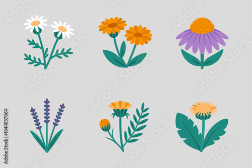 Garden herb flower icons, calendula chamomile lavender foliage, flat floral collection, botanical vector, spring bloom set