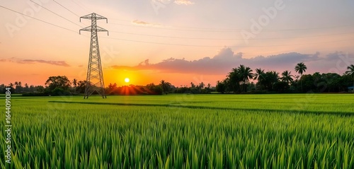 Tall electricity pole stands silhouetted against a vibrant green rice paddy under a bright sky,  agricultural,  outdoor