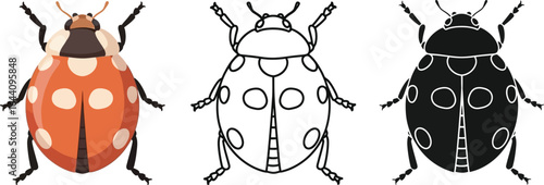 Ladybug illustration vector drawing insect design for kids art