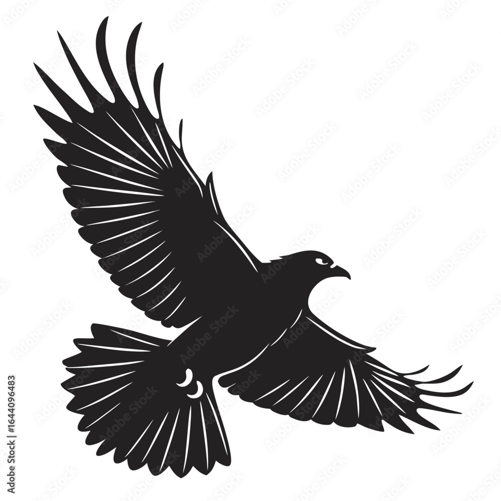 Obraz premium eagle vector illustration