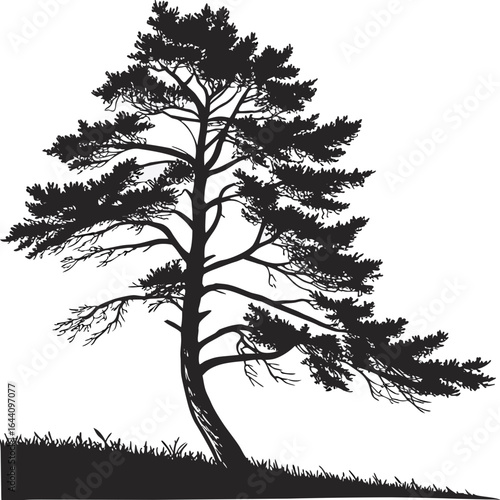 Wallpaper Mural vector tree silhouette Torontodigital.ca