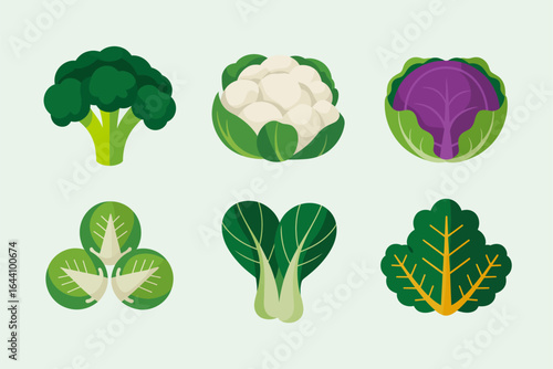 Leafy salad greens pack, spinach lettuce chard bok choy collard, organic vector illustration, nutrition card, printable menu design