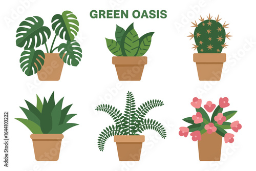 Green oasis plant poster icons, potted monstera cactus fern vector, indoor garden illustration, houseplant clipart, home decor design