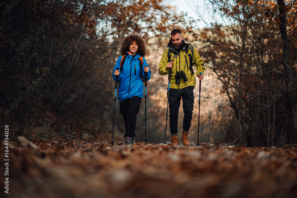 Fototapeta premium Hikers walking in forest using trekking poles in autumn