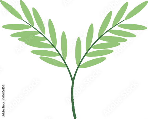 Green leaf illustration botanical plant nature drawing art