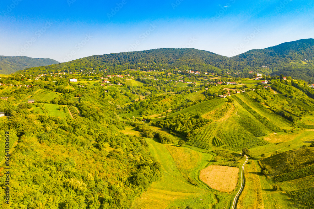 Obraz premium Panoramic view of picturesque vineyards in Plesivica in Croatia, amazing Croatian wine region, idyllic landscape