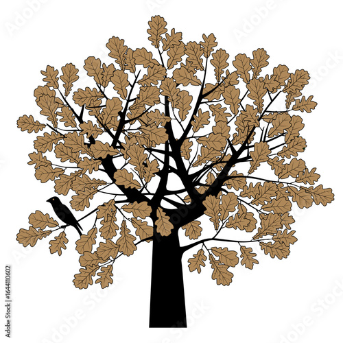 Drawing of oak tree crown with branches and brown leaves and  bird in color vintage linear and engraving style isolated on white. Vector illustration