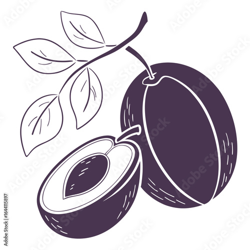 Vector illustration of fresh ripe plum fruit with a leaf, a sweet and juicy healthy vegetarian food icon
