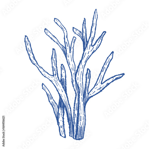 Hand sketched coral with textured lines. Vector marine illustration for coastal decor, packaging, posters and beach-themed stationery