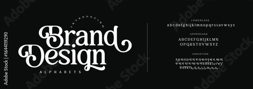 Brand design logo alphabet letters font. Typography luxury classic lettering serif fonts decorative vintage retro logos and number. vector illustration