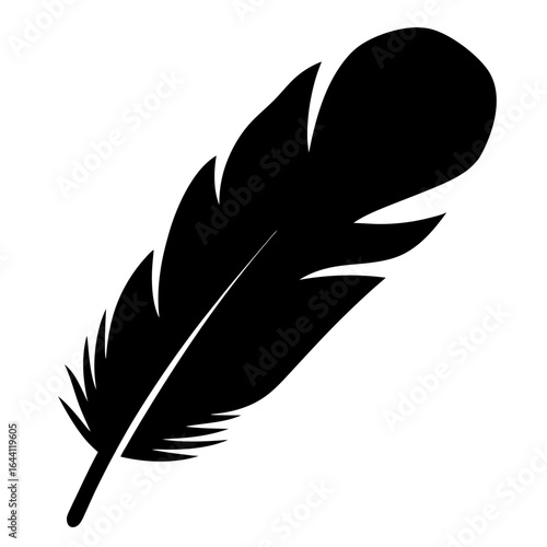 Stylized black feather illustration on white background displaying plume texture and composition