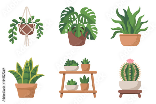 Herb garden window box icons, basil mint rosemary chive vector, kitchen planter illustration, culinary herb label, printable recipe card art