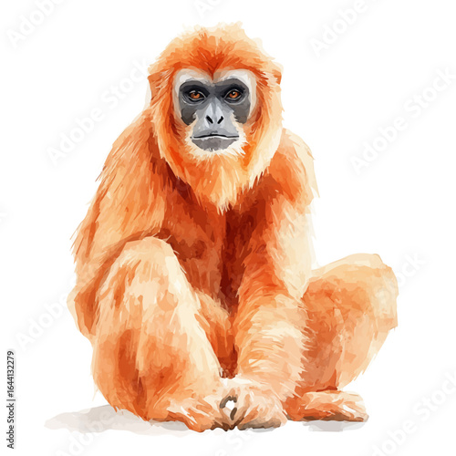 Gibbon, watercolor clipart vector, isolated on a white background.