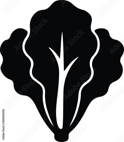 Illustrator fresh green leafy lettuce vegetable silhouette vector