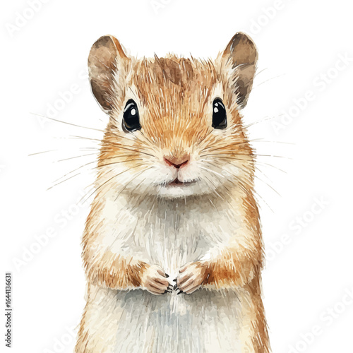 Gerbil, watercolor illustration vector, isolated on a white background.
