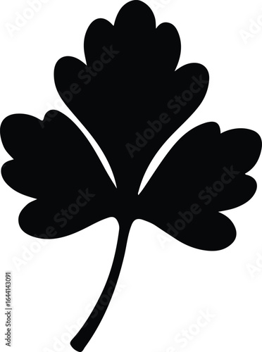 Illustrator Parsley leaf single isolated black and white Silhouette vector